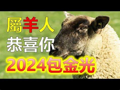 屬羊的財位|【屬羊財位2023】屬羊人2023年財位：關鍵方位 & 最佳發財時。